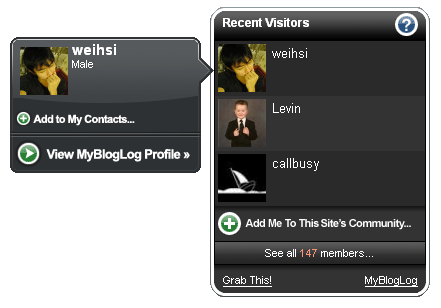 mybloglog_flash.png