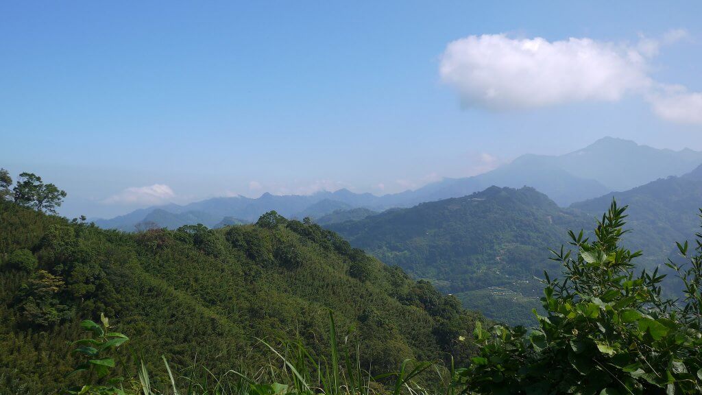 29334390524_9464e4e7f4_k